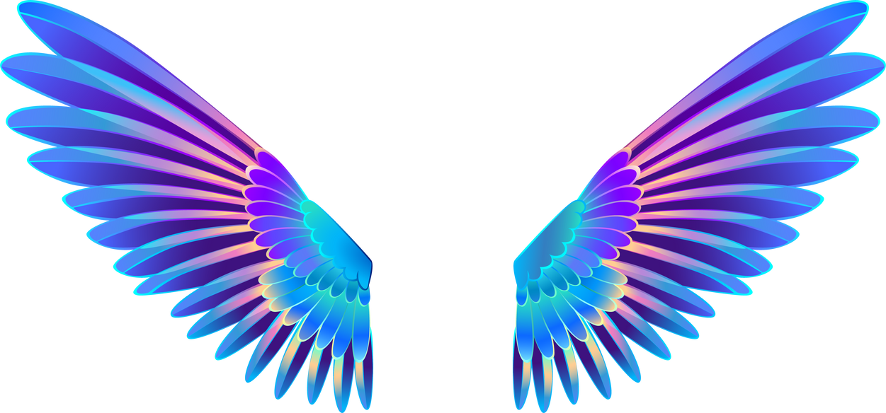 Glowing Hummingbird Wings